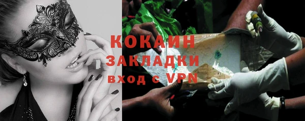 ECSTASY Алзамай
