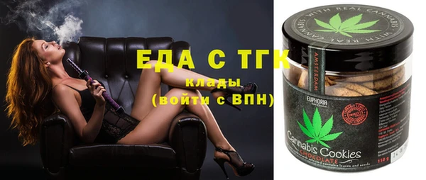 ECSTASY Алзамай