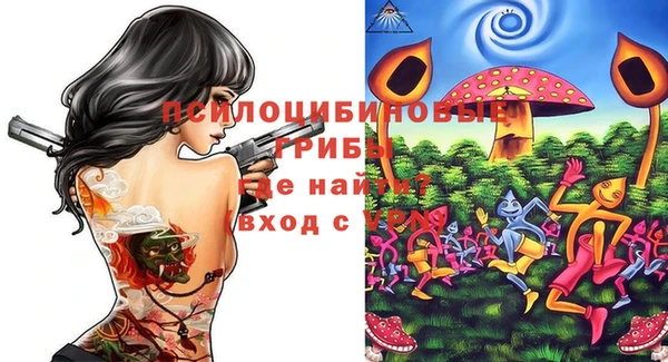 ECSTASY Алзамай