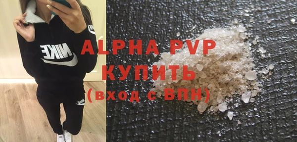 ECSTASY Алзамай