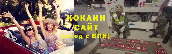 ECSTASY Алзамай