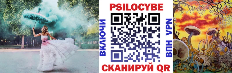 Псилоцибиновые грибы GOLDEN TEACHER  Солигалич 